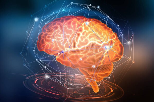 Exploring Neuroscience: Advanced Knowledge And Research