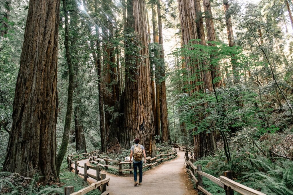 Choosing the Right Walking Trail