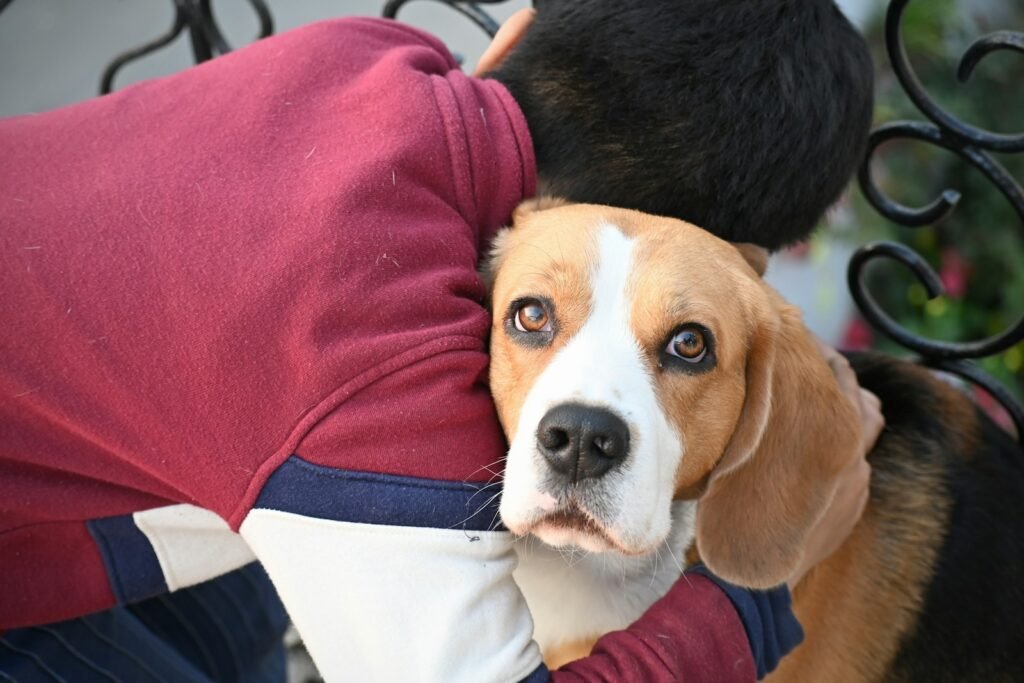The Role of Loyalty in Dogs